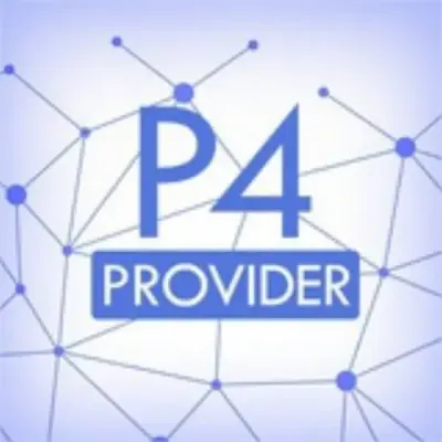 P4 Provider