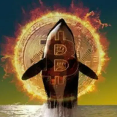BINANCE CRYPTO PUMP
