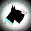 Carper trading signals