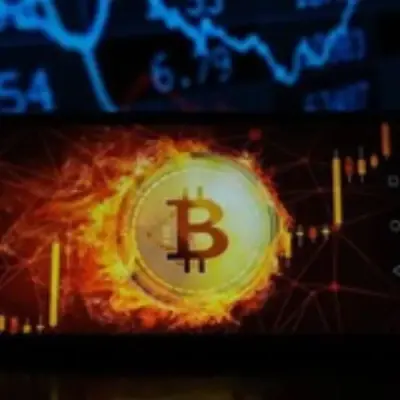 Crypto Signals