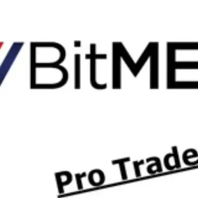 Bitmex Pro Traders
