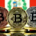 Forxe trading investment