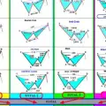 Professional Trading for Wealth Generation