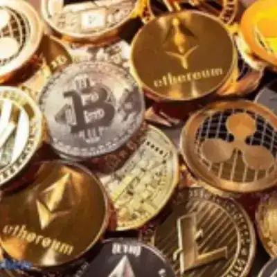 premium crypto signals and tricks Whales