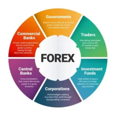 Free signal for FOREX TRADING