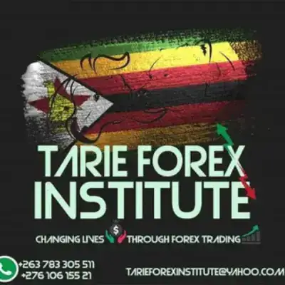 Forex Trading Zim