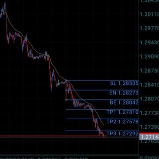 Forex Prop Traders