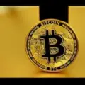 PIPS LAB FOREX & CRYPTO