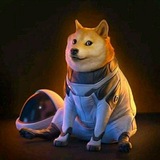 BrokenPanda2 / crypto pump alerts / new coin listing / binance , kucoin , coinbase , wazirx , india