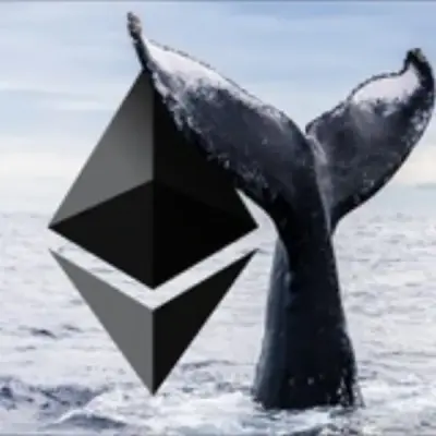 Crypto Whale © - Signals (Futures / Spot)