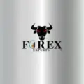 Forex Experts Signals