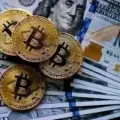 Future investors