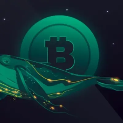CRYPTO COMMUNITY-CRYPTO WALKER PUMPS