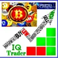 iQ Trader Crypto BTC+++