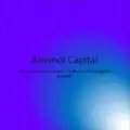 Anemol Capital (Technical Analysis)