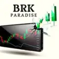 Breakout's Paradise Results & Feedback