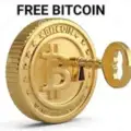 FOREX TRADERS SIGNALS