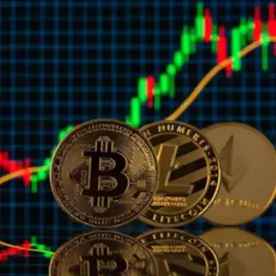 Crypto News and Premium Spot and Future Signals