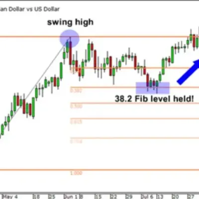 Forex Trading Hub
