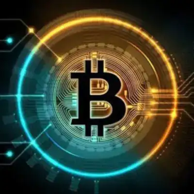 Xollo Cripto Onely For Vip Members