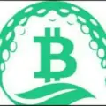 BU VIP Signals