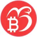 CRYPTO BRO ( SIGNALS | NEWS | ANALYSIS )