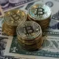 LEGITOPTIONPAYOUTS