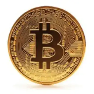 Premium Crypto Profit Sharing
