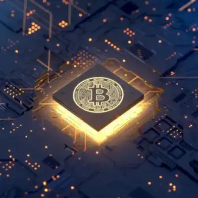 Crypto whales   IL