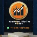 Raymond Digital Forex