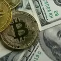 Bitcoin  Signal  Arenal