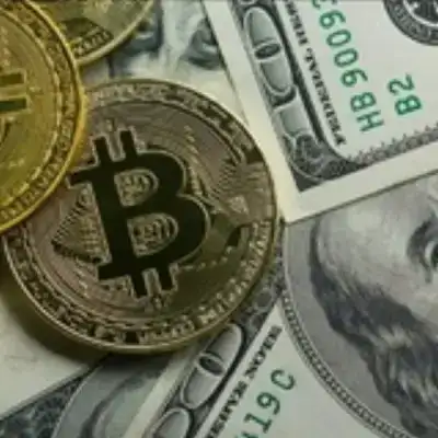Bitcoin  Signal  Arenal