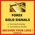 GOLD VIP SIGNAL