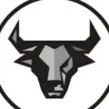Black Bull Capital®