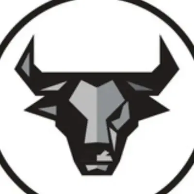 Black Bull Capital®