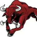 Forex Predators