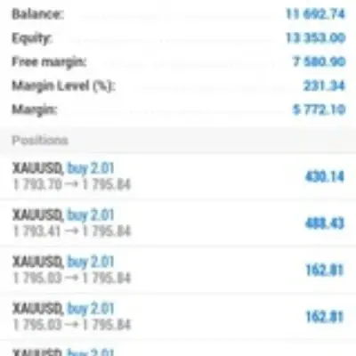 PROFESSIONAL GOLD SIGNALS❤️