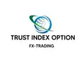 TRUST-INDEX-OPTION-TRADING