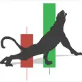 TRY PARDUS GOLD/FOREX