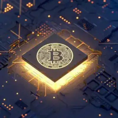 Crypto signals