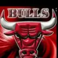 Crypto Bulls