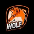 The CryptoWolf ™