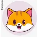 CateCoin   Admin will never Message you
