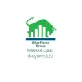 Blue Forex Group
