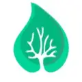TraderStat - Top Traders & Analytic Statistics