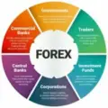 Forex Market Management
