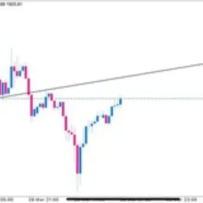 Test Signal