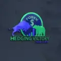 FX HEDGING VICTORY