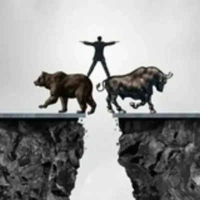 BULL VS BEAR CALLS
