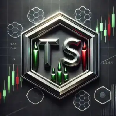 TS - Public Chat